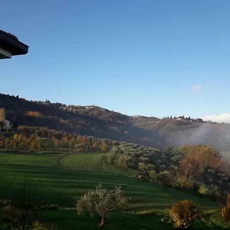 Castellano * Cerasolo